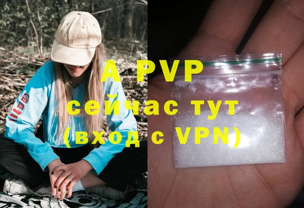 сатива Армянск