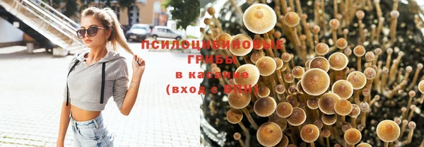 сатива Армянск