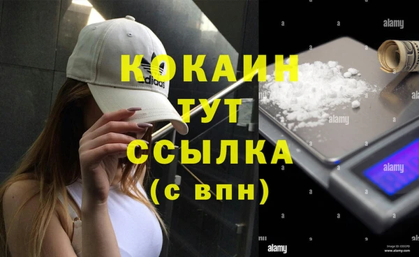 MESCALINE Аркадак