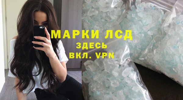 сатива Армянск