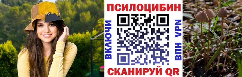 цена наркотик  Суворов  Псилоцибиновые грибы мицелий 